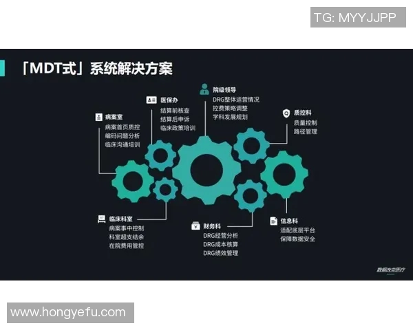 上海足球队的运营模式与发展策略深度解析